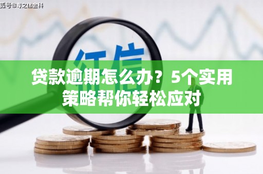 建阳贷款逾期怎么办？5个实用策略帮你轻松应对