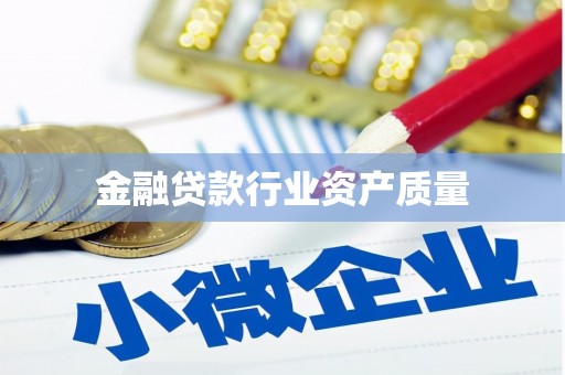 武山金融贷款行业资产质量