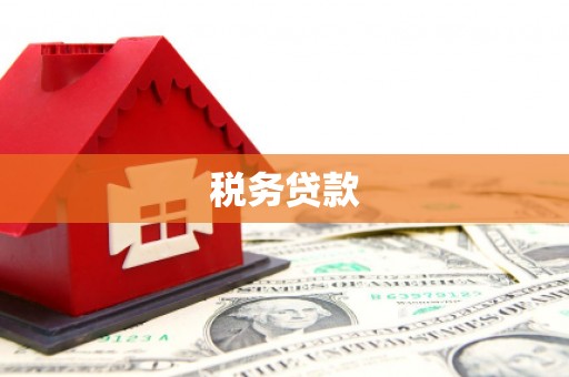 斗南税务贷款