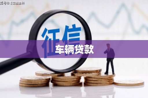 新民车辆贷款