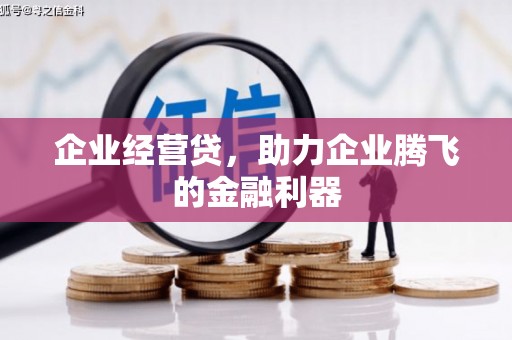 盐池企业经营贷，助力企业腾飞的金融利器