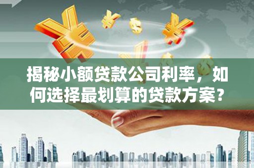 汉源揭秘小额贷款公司利率，如何选择最划算的贷款方案？