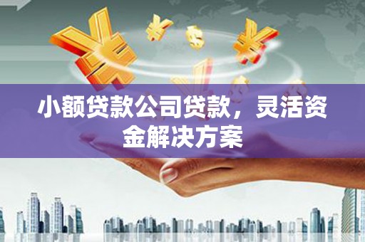 乌马河小额贷款公司贷款，灵活资金解决方案